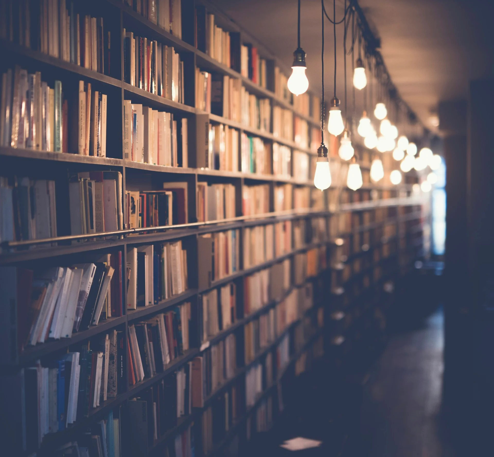 Law library shelves with leather-bound volumes